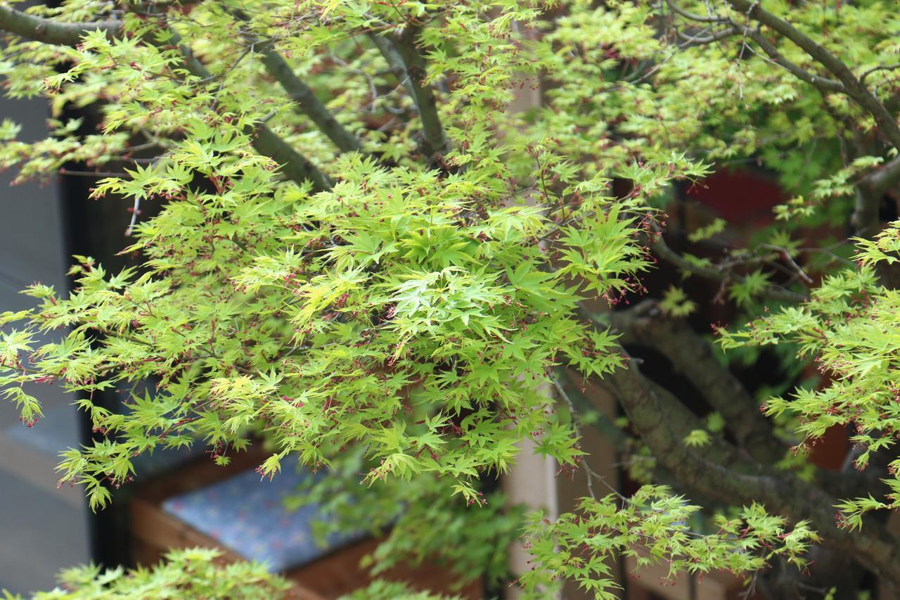 Okitsu Okaya Ryokan מראה חיצוני תמונה